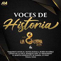 La Octava Banda – Voces De Historia