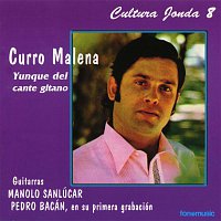 Various Artists.. – Cultura Jonda VIII. Curro Malena, yunque del cante gitano