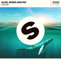 Alok, Zeeba, Iro – Ocean