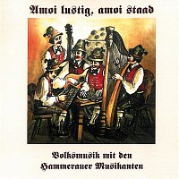 Hammerauer Musikanten – Amoi lustig, amoi staad