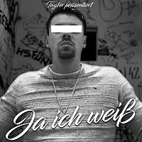 Přední strana obalu CD Ja ich weisz