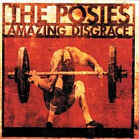 The Posies – Amazing Disgrace