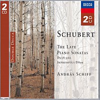 András Schiff – Schubert: The Late Piano Sonatas