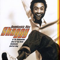 Shaggy – Boombastic Hits