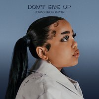 Don't Give Up [Jonas Blue Remix]