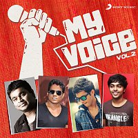 Various  Artists – My Voice, Vol. 2