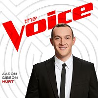 Aaron Gibson – Hurt [The Voice Performance]