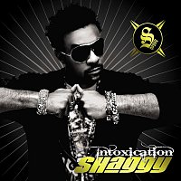 Shaggy – Intoxication