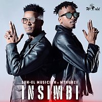 Mthunzi, Sun-El Musician – Insimbi