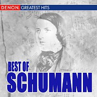 Různí interpreti – Best Of Schumann