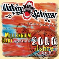 Nidbargschrinzer Mels – Millenium Baby - What a feeling - darauf hast du 2000 Jahre gewartet