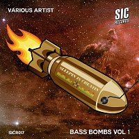 Various  Artists – Bass Bombs, Vol. 1