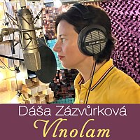Přední strana obalu CD Vlnolam