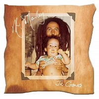 Damian "Jr. Gong" Marley – Mr. Marley