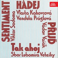 Přední strana obalu CD Děčínská kotva 1981