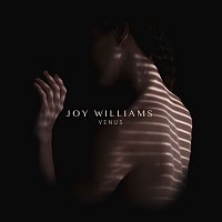 Joy Williams – Until the Levee