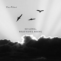 Otto Pollard – So Long, Beautiful Being