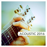 Přední strana obalu CD Acoustic 2016