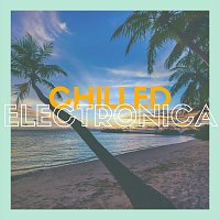 Různí interpreti – Chilled Electronica