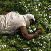 NoCap – Before I Disappear Again