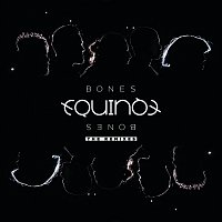 Přední strana obalu CD Bones [The Remixes]