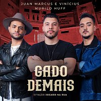 Juan Marcus & Vinicius, Murilo Huff – Gado Demais / Citacao: Jogado Na Rua [Ao Vivo]