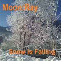 Přední strana obalu CD Snow Is Falling