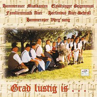 Hammerauer Musikanten - Elstatzinger Geigenmusi - Familienmusik Auer -  Harfenduo Auer-Schroll - Hammerauer Vierg´sang – Grad lustig is...