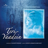 Přední strana obalu CD Teri Yaadein [Album Version]