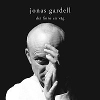 Jonas Gardell – Det finns en vag