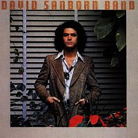 David Sanborn – Promise Me the Moon