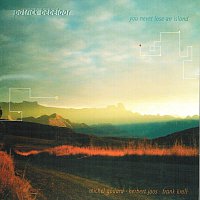 Patrick Bebelaar – You Never Lose An Island