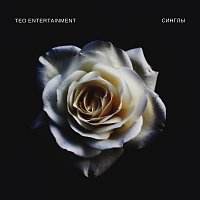 Teo Entertainment – Синглы
