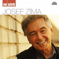 Josef Zíma – Pop galerie CD