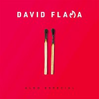 David Flama – Algo especial