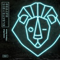 Přední strana obalu CD I Wanna Dance