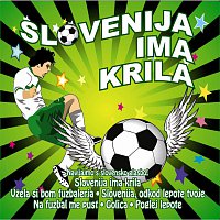 Různí interpreti – Slovenija ima krila