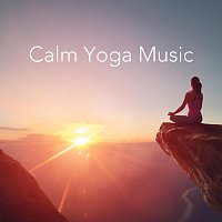 Různí interpreti – Calming Yoga Music