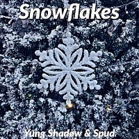 Snowflakes (feat. Spud)