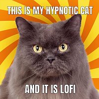 lofi creep – This Is My Hypnotic Cat and It Is Lofi