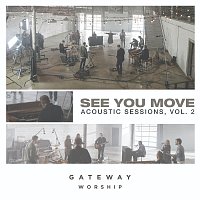 See You Move: Acoustic Sessions, Vol. 2