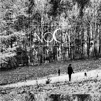 Noca – Nyní