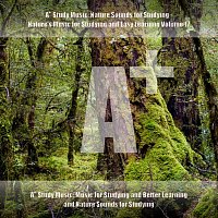 A+ Study Music: Nature Sounds for Studying - Nature's Music for Studying and Easy Learning, Vol. 17