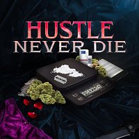 Přední strana obalu CD HUSTLE NEVER DIE