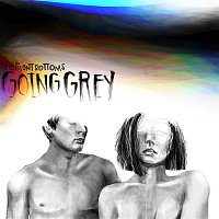 The Front Bottoms – Going Grey