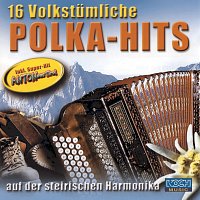 Přední strana obalu CD 16 volkstumliche Polka-Hits