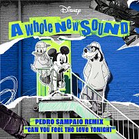 Pedro Sampaio – Can You Feel the Love Tonight [From "A Whole New Sound" | Pedro Sampaio Remix]