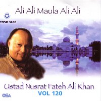 Nusrat Fateh Ali Khan – Ali Ali Maula Ali Ali, Vol. 120