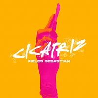 Přední strana obalu CD Cicatriz