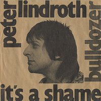 Peter Lindroth – It's A Shame
